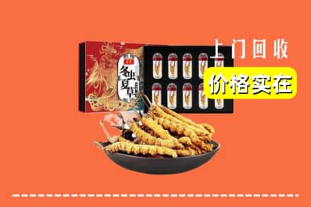 洛阳市涧西回收冬虫夏草